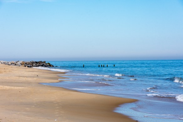 Lin and Michel's Photos