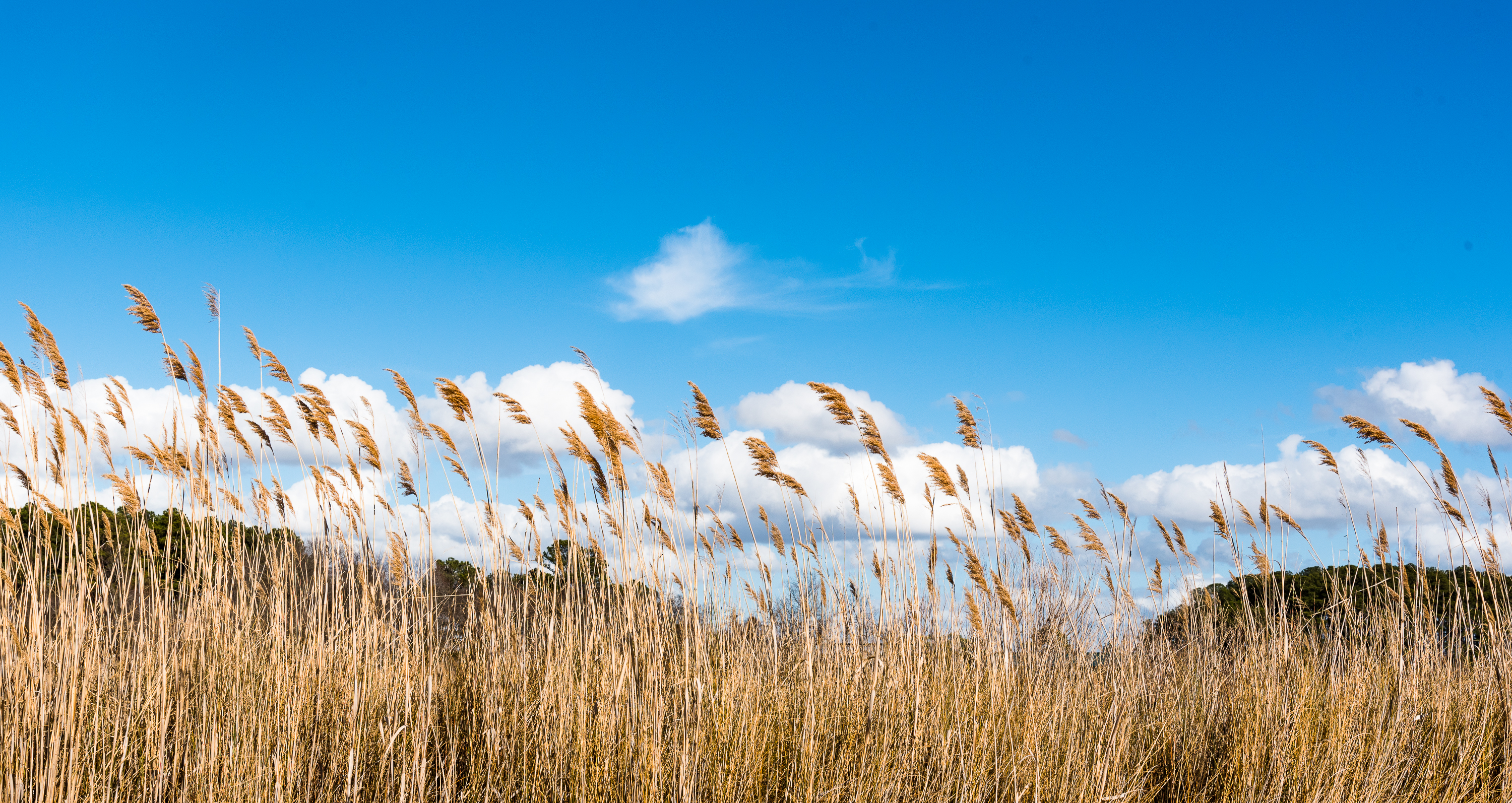 Lin and Michael's Photos