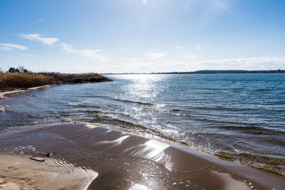 Lin and Michael's Photos