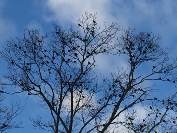 Lin and Michael's Photos