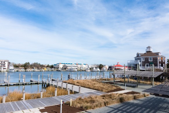 Lin and Michael's Photos