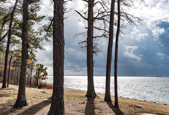 Lin and Michael's Photos