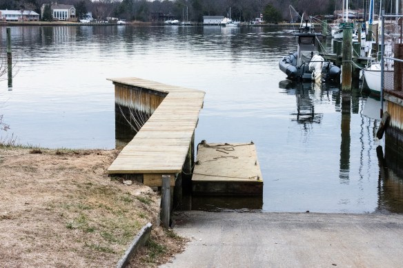 Lin and Michael's Photos