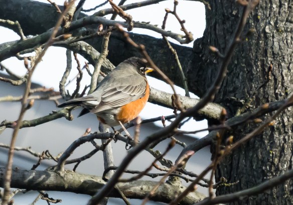 Lin and Michael's Photos