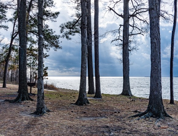 Lin and Michael's Photos